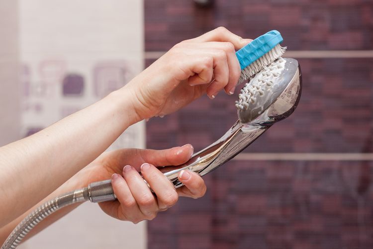 Foto : Cara Membersihkan Kepala Shower Pakai Bumbu Dapur Foto : Cara Membersihkan Kepala Shower Pakai Bumbu Dapur